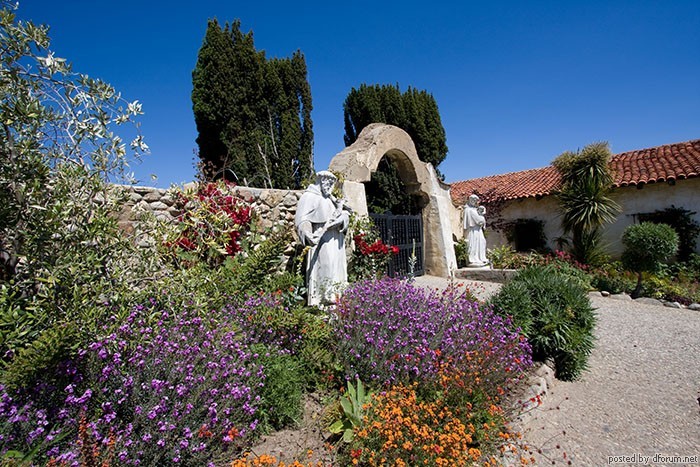 Blumenbeet, Kalifornien 2008, Carmel Mission