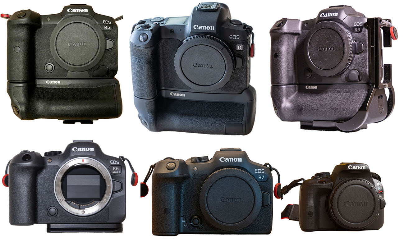 Meine Canon Kamera Bodies: EOS R5, EOS R6, EOS R, EOS R5 und EOS R6 Mk II