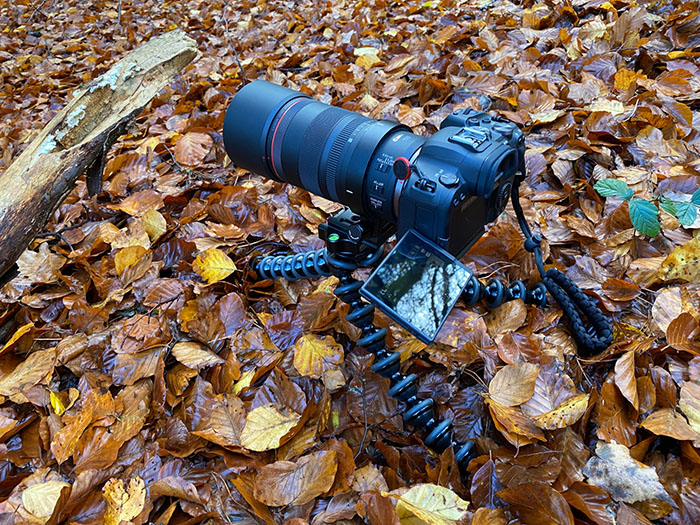 Gorillapod 5K mit Canon EOS R6 und dem RF 100 mm 2.8 L IS USM Macro im Einsatz