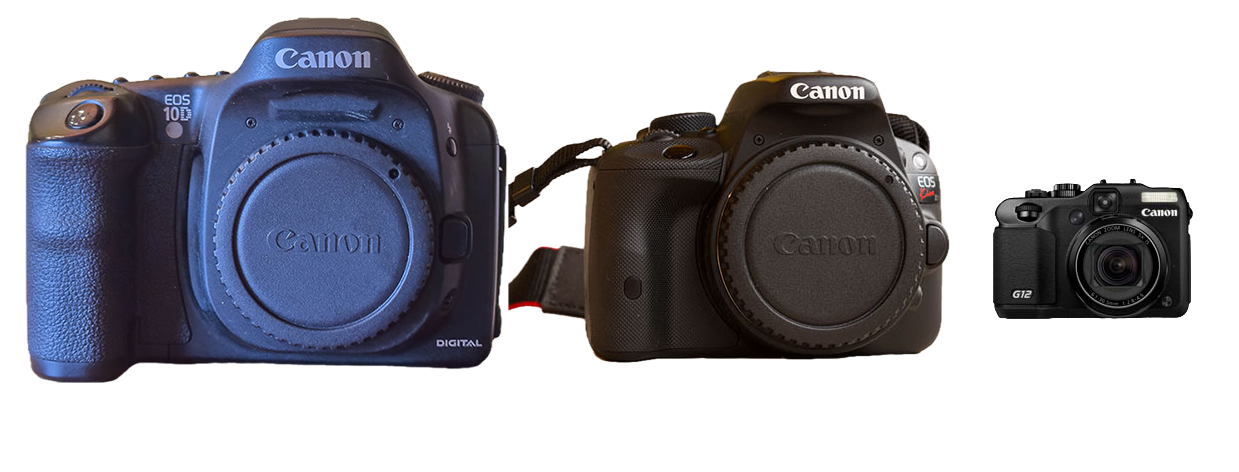 Meine noch vorhandenen DSLR Canon Kameras