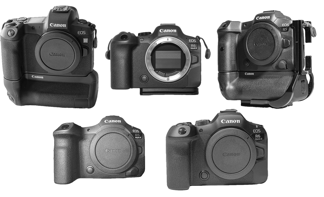 Meine Canon Kamera R-Bodies: EOS R5, EOS R, EOS R6 III,EOS R6 II, EOS R5 II, EOS R50V ...