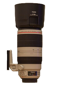 Canon EF 100-400 mm/1:4.5-5.6 L IS II USM
