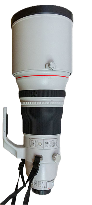 Canon EF 400 mm/1:2.8 L IS II USM