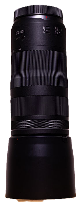 Canon RF 100-400 mm f5.6-8 IS USM mit Streulichtblende