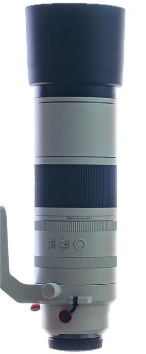 Canon RF 200-800 mm f6.3-9.0 IS USM