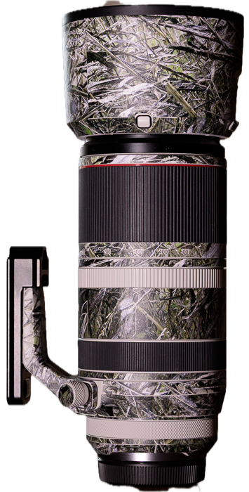 Das RF 100-500 f4.5-7.1 L IS USM mit den angebrachten Decals