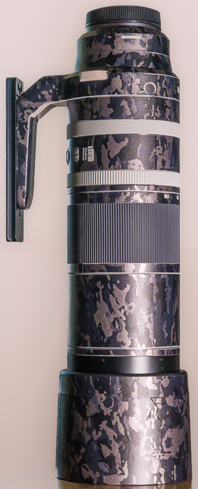 Das RF 200-800 mm f6.3-9 IS USM mit den angebrachten Decals
