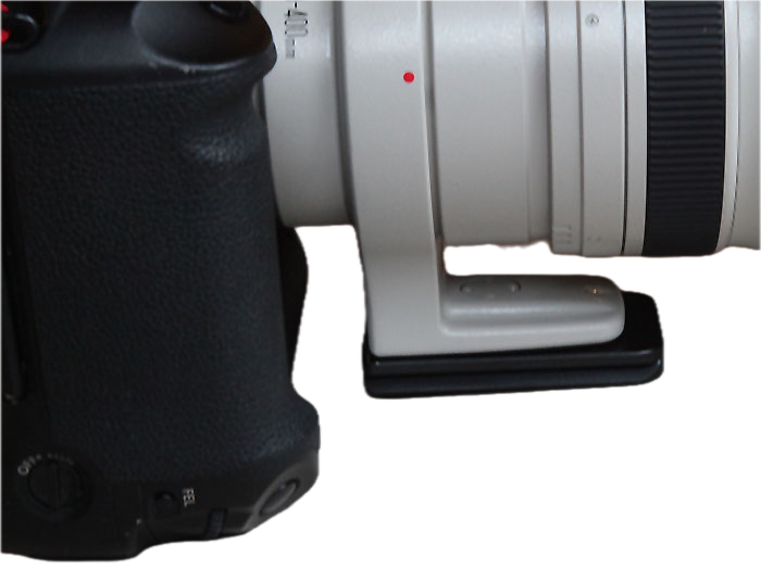 Hier ist die Platte am Stativfu&szlig; eines Canon 100-400 mm Objektives montiert